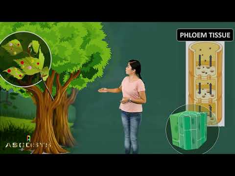 Go get your own Gyansrota - affordable quality education. Success is now a Reality!