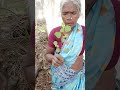 சித்த மருத்துவத்தில் உடம்பு கை கால் �