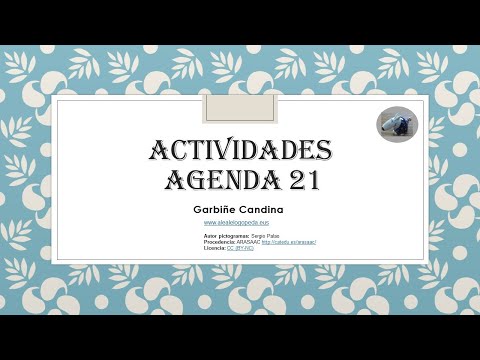 ACTIVIDADES AGENDA 21