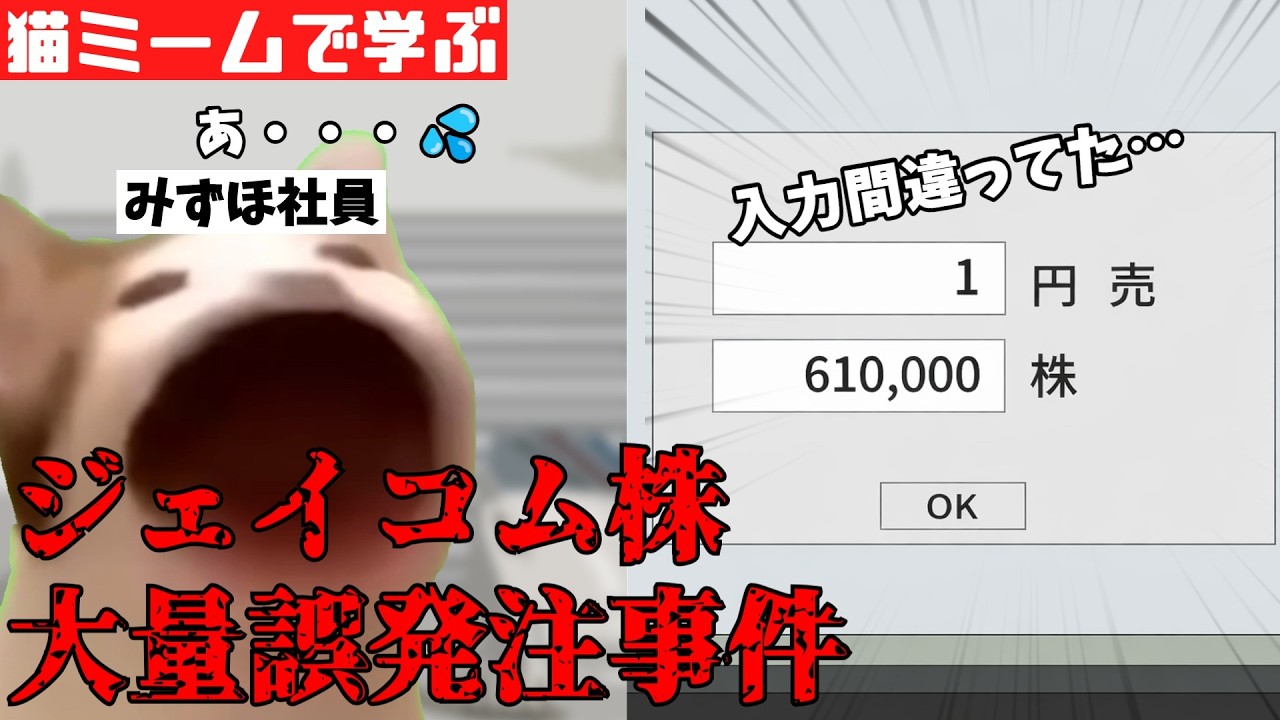 猫ミームで学ぶジェイコム株大量誤発注事件 #猫マニ #猫ミーム