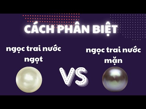 Cách Phân Biệt Ngọc Trai Nước Ngọt Và Nước Mặn | Ngoc Trai Minh Hà