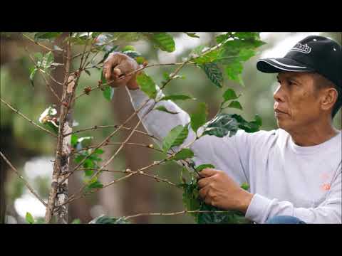 National Greeting Program (NGP)