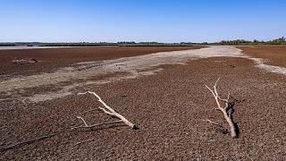 Hungría registra el verano más seco desde 1901 y agrava su crisis por la falta de agua subterránea