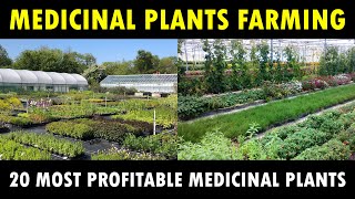 Most profitable Medicinal Plants farming in India | Medicinal Plants Cultivation Business