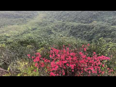 cover-youtube