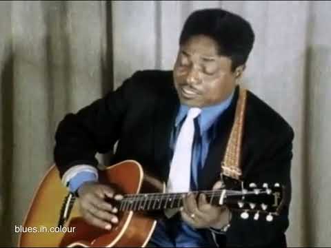 Thumbnail for Johnny Shines - live 1970 by Johnny Shines