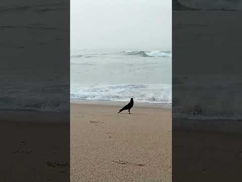 #vizag #beach #travel #beautiful  #ocean#life#naturelovers