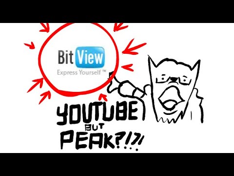 bitview is a pile of shit