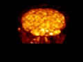 BrainDad3 1