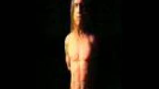 Iggy Pop - Wild America