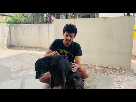 Lockdown madhe ek ashihi seva