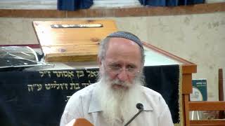 בלעם בשעת כשרותו נביא היה – שיעור 88 – ספר במדבר