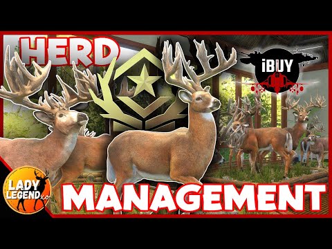 How to Spawn MULTIPLE WHITETAIL GREAT ONES With HERD MANAGEMENT! - Call of the Wild