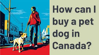 How can I buy a pet dog in Canada?