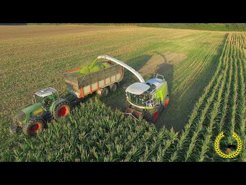Maisernte 2018 / Claas Jaguar 970 / Kemper 390+ / LU Carsten Walkling