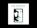 Cat Stevens -- Later