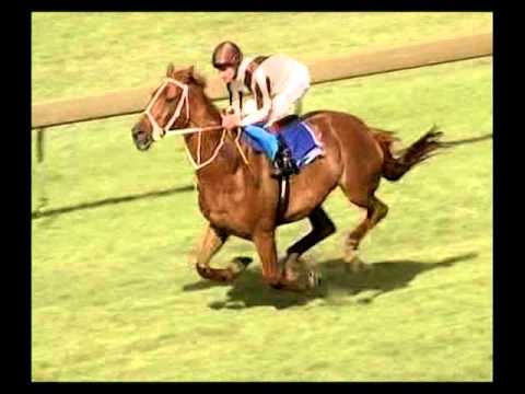 Bonecrusher - NZ's Champion