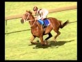 Bonecrusher NZ S Champion