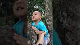 Download lagu JAGAT MANJAT POHON 🌲#shorts mp3
