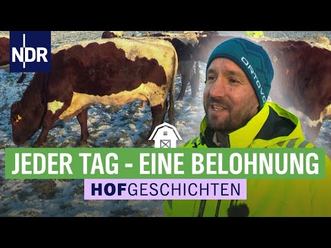 Ganzjährig auf die Weide - gut für Tiere & Boden | Hofgeschichten: Leben auf dem Land (268) | NDR