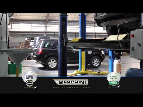 Meschini Institucional