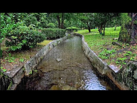 Fall Asleep to Rain Sounds in the Park Stream. The Best Rain Sound White Noise to Overcome Insomnia