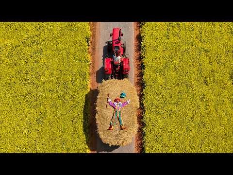 Berger Paints' Rang Bana Rahe campaign