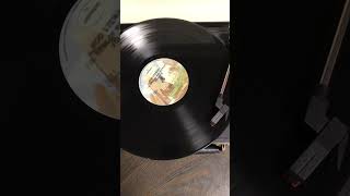 ITALIAN GIRLS by Rod Stewart #vinylrecord
