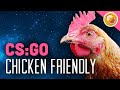Chicken Friendly : Counter Strike Global Offensive ...