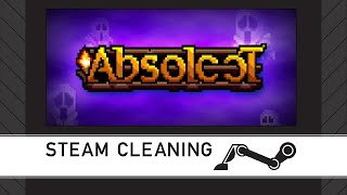 Steam Cleaning - Absoloot