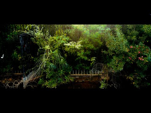 Organic City, a film by Bei