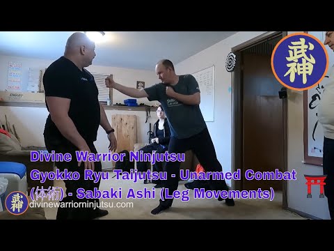 Gyokko Ryu Taijutsu - Unarmed Combat (体術) - Sabaki Ashi (Leg Movements)