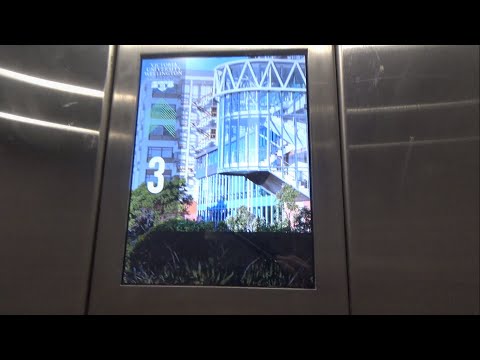 New Indicator + Dual Chimes! | Express (mod. Schindler) @ Vic Uni, Wellington CBD (Cotton, South)