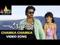 Chirutha Video Songs Chamka Chamka Video Song Ramcharan Neha Sharma Sri Balaji Video