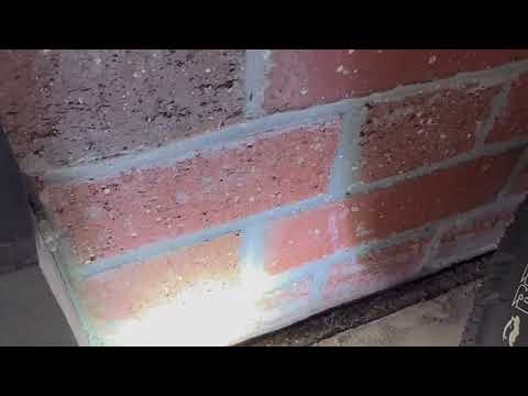 Flushing the Ants Out From Under the...