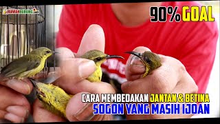 Download lagu DIFFERENTIATING BETWEEN MALE AND FEMALE SOGON WHILE STILL IJOAN mp3
