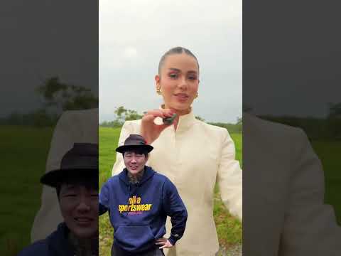 En nuestro proyecto Damasco 2. Acacias, meta.