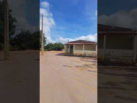 vendo barato essa maravilha de sítio em araripina pe 6 mil metros quadrados 27 mil 8799102 3154
