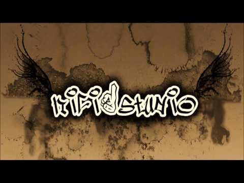 BeBBe & Gogs - An electoral (Eu cu cine votez) @ N1SR 2014