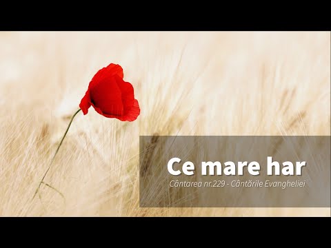 229. Ce mare har