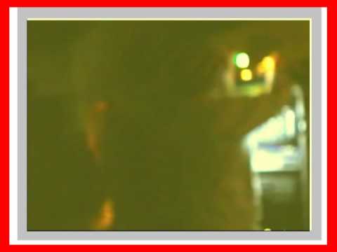 SELAH SOUNDSYSTEM ft jah rootz - tell me about ''dubwise @ I&I bunker A-dam 17-03-2007