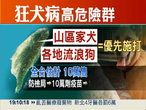 貓狗集中打疫苗 "互咬"擴散疫情?
