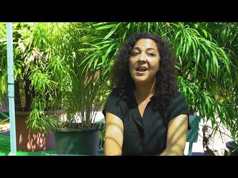 Présentation du Domaine du café grillé