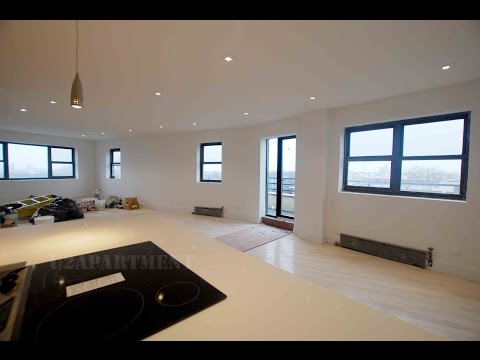 Ditmas Park Pent House for rent 2 Bedroom 2.5 bathroom Stunning finishes
