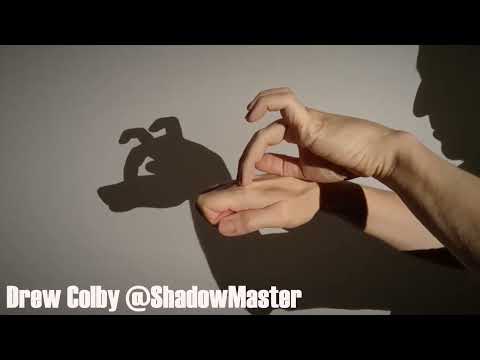 Surprised Dog Hand Shadow Tutorial