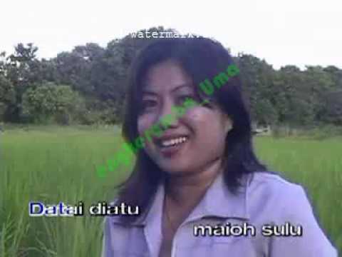 STEADY AKU - ROBIN JULY