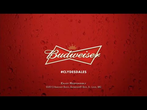 The Clydesdales “Brotherhood” Horse Commercial (Budweiser)