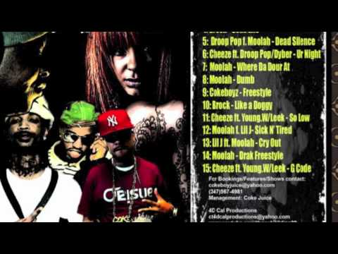 New***Cocaine Cheeze Feat. Cokeboy Moolah-What you Gone Do Remix