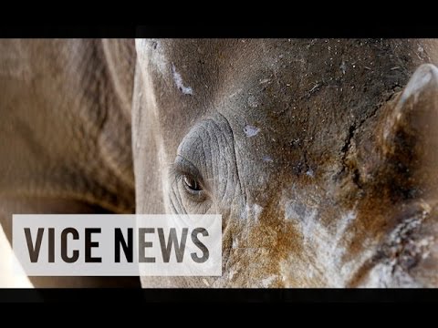 VICE News Daily: Beyond The Headlines - December 08, 2014