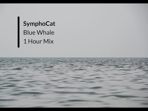SymphoCat - Blue Whale | 1 Hour Mix